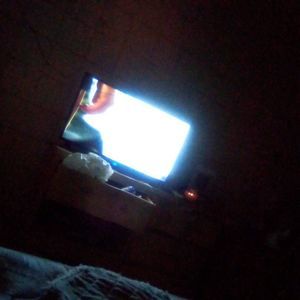 Meet your Posher, Petra